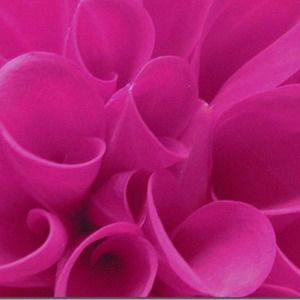 Meet your Posher, Lanaye